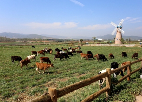 Vinamilk dẫn đầu ở cả 2 ngành hàng lớn là sữa nước và sữa bột trẻ em