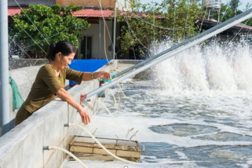 TYM giảm lãi suất một số sản phẩm vốn vay vi mô TYM giảm lãi suất một số sản phẩm vốn vay vi mô