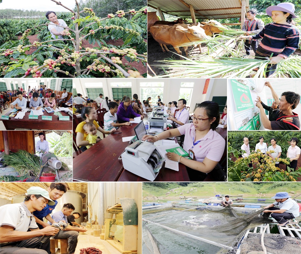 Gần 20 năm khẳng định sứ mệnh vì người nghèo