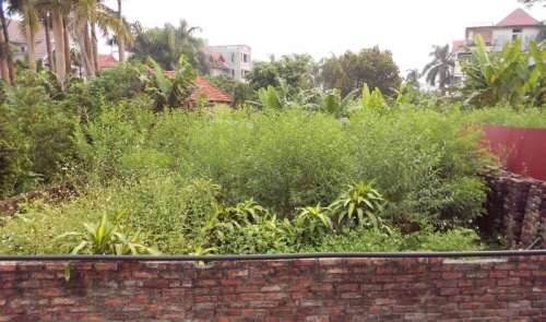 Xem xét chuyển mục đích sử dụng đất xen kẽ liền kề hộ dân Xem xét chuyển mục đích sử dụng đất xen kẽ liền kề hộ dân