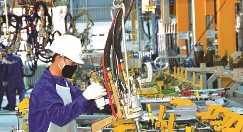 Những yếu tố nào hỗ trợ tăng trưởng?