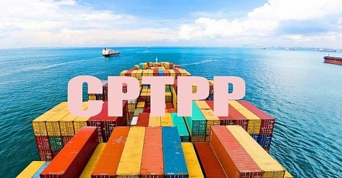 Bộ Công Thương làm cơ quan đầu mối triển khai Hiệp định CPTPP Bộ Công Thương làm cơ quan đầu mối triển khai Hiệp định CPTPP