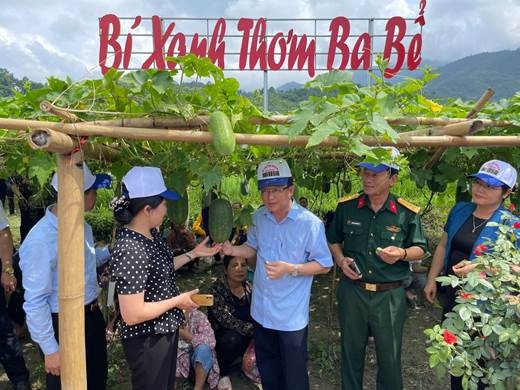 Bắc Kạn đẩy mạnh ứng dụng thương mại điện tử trong tiêu thụ nông sản