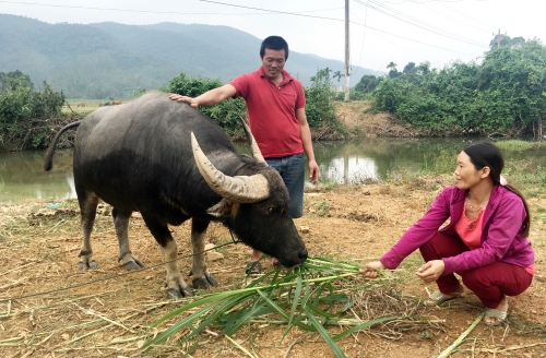 Về xã không có nợ quá hạn