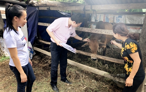 Về xã không có nợ quá hạn