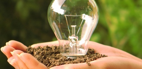 Năng lượng sinh học: Tiềm năng để sản xuất điện lớn