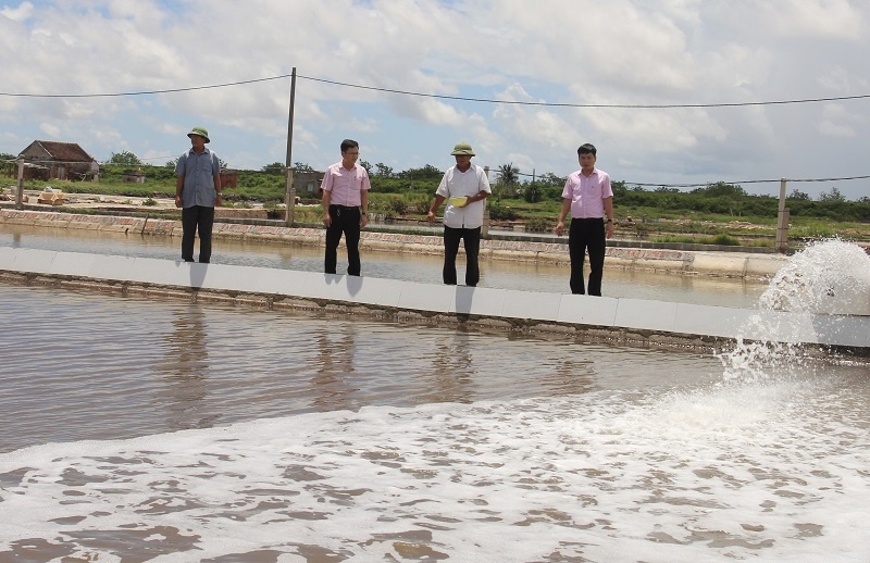 Hiệu quả tín dụng chính sách - Nhìn từ miền biển Thái Thụy hieu qua tin dung chinh sach nhin tu mien bien thai thuy