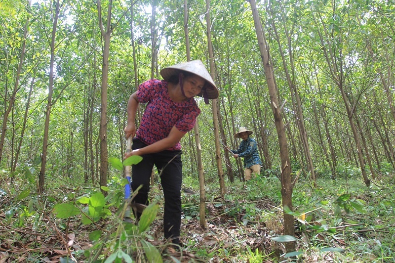 Trọn vẹn 20 năm đồng hành cùng hộ nghèo ở miền núi Đoan Hùng tron ven 20 nam dong hanh cung ho ngheo o mien nui doan hung