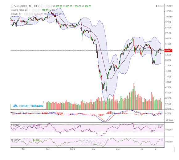 dong tien huong manh den nhom von hoa vua va nho