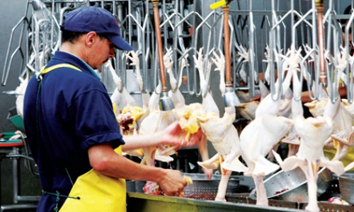 VIETSTOCK 2018: Kết nối thị trường tiềm năng cho các sản phẩm chăn nuôi, thủy sản