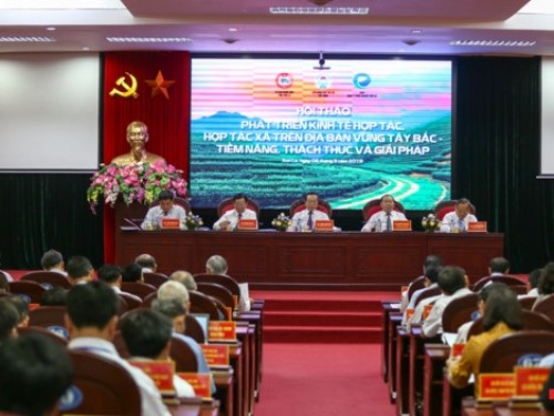 Năng lực tài chính và quản trị của hợp tác xã được cải thiện Năng lực tài chính và quản trị của hợp tác xã được cải thiện