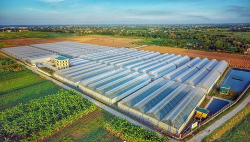 PAN Group hoàn tất phát hành 10% cổ phần cho đối tác Sojitz PAN Group hoàn tất phát hành 10% cổ phần cho đối tác Sojitz