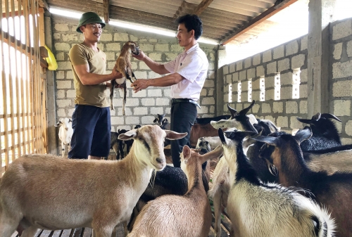 Khi “cánh tay nối dài” dẫn vốn ưu đãi tới người nghèo