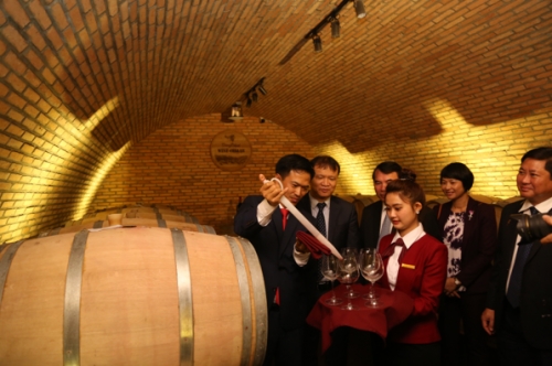 Hầm vang chuẩn châu Âu - Dấu ấn thương hiệu vang Việt Nam Hầm vang chuẩn châu Âu - Dấu ấn thương hiệu vang Việt Nam