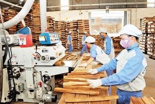 Thủ tướng phê duyệt Chương trình hỗ trợ doanh nghiệp nâng cao năng suất, chất lượng sản phẩm