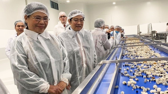 nha may che bien hoa qua tuoi 3500 ty uoc mo nhieu nam cua nong dan son la dang thanh hien thuc