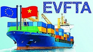 Ban hành biểu thuế xuất nhập khẩu ưu đãi của Việt Nam để thực hiện EVFTA