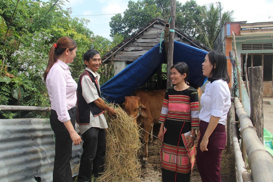 dau an hanh trinh tin dung chinh sach tren mien dat vo
