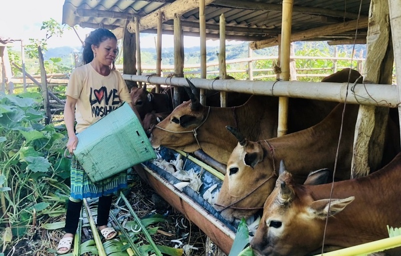 von uu dai giup nguoi dan vung kho vuon len thoat ngheo