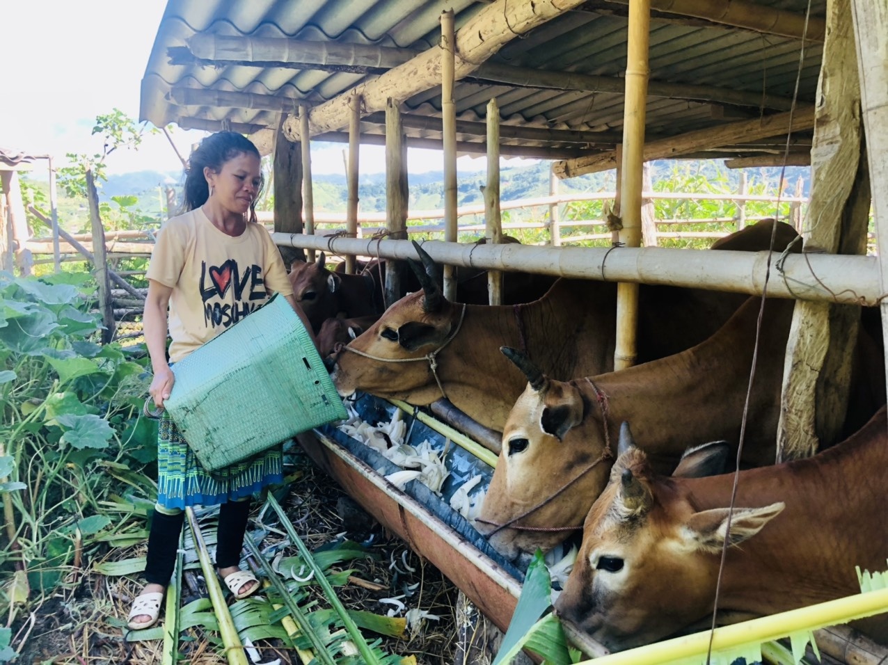 hanh trinh 20 nam tin dung chinh sach xa hoi tren manh dat mien nui son la