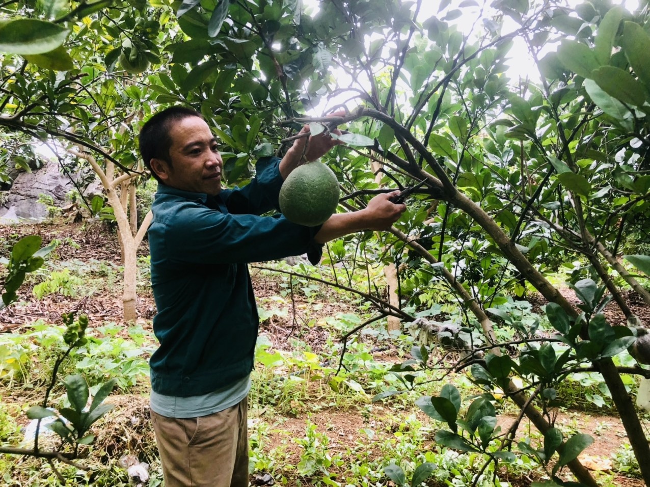 hanh trinh 20 nam tin dung chinh sach xa hoi tren manh dat mien nui son la