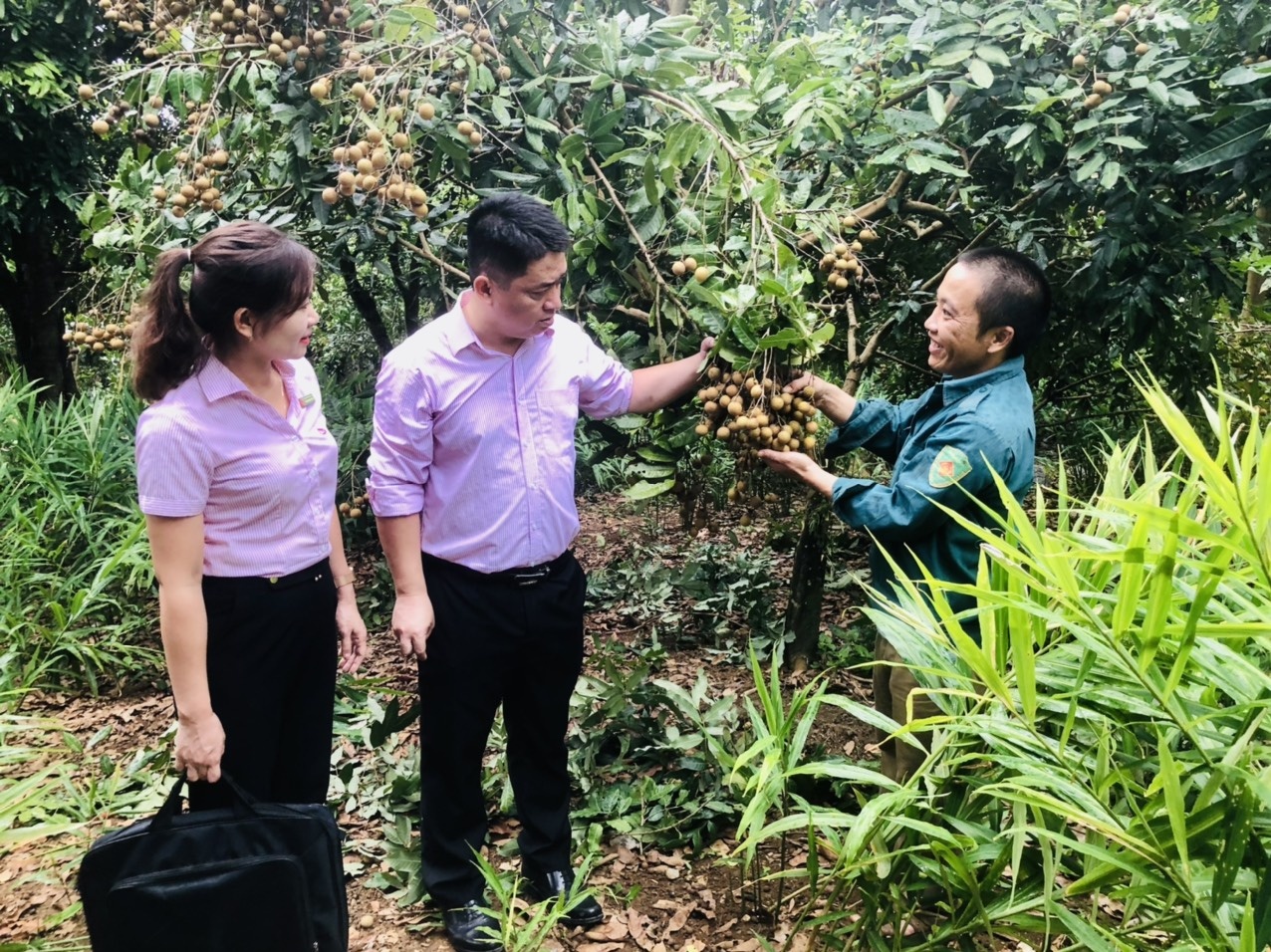 hanh trinh 20 nam tin dung chinh sach xa hoi tren manh dat mien nui son la