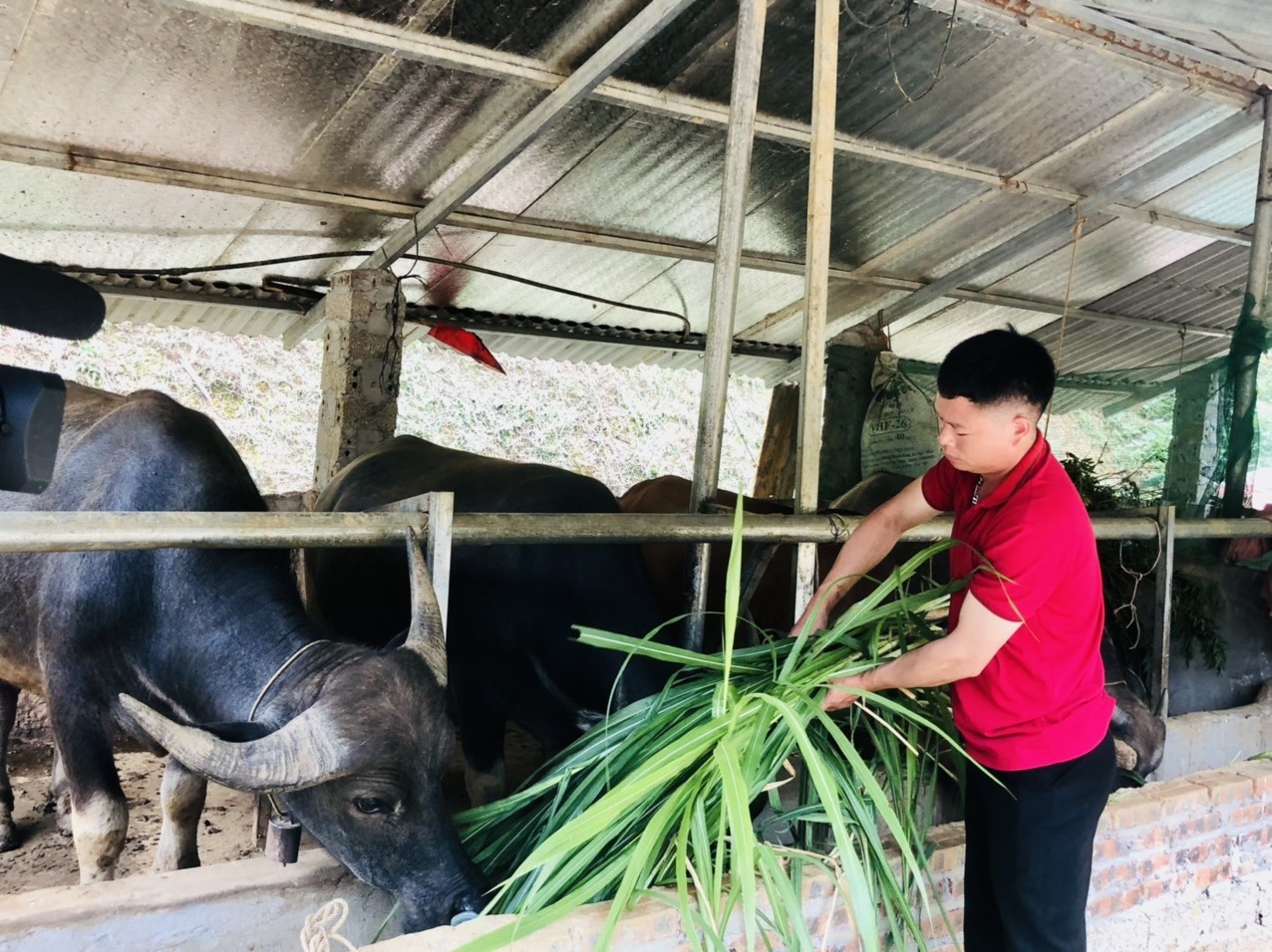 hanh trinh 20 nam tin dung chinh sach xa hoi tren manh dat mien nui son la