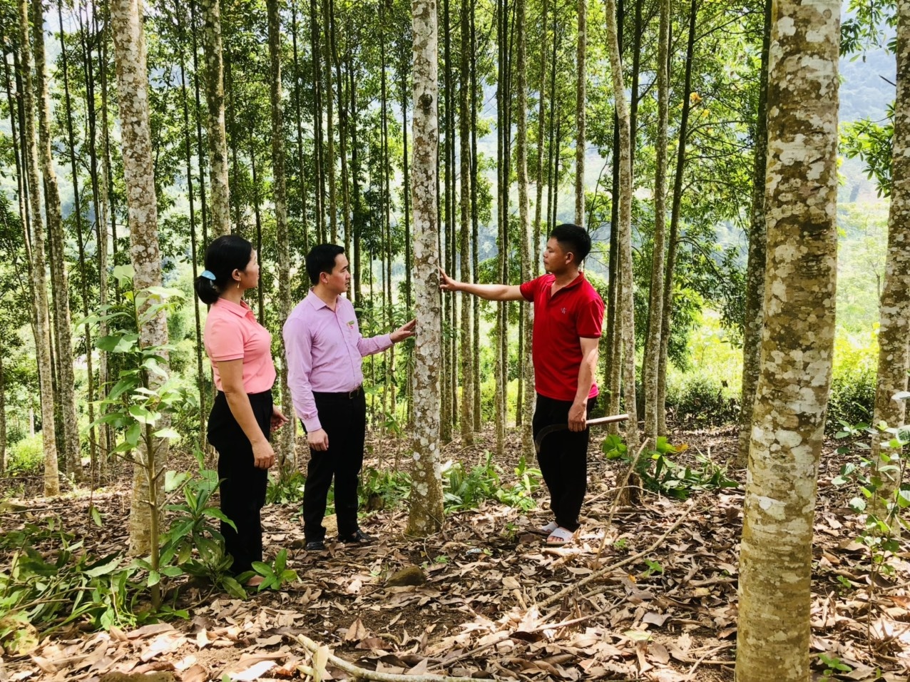 hanh trinh 20 nam tin dung chinh sach xa hoi tren manh dat mien nui son la