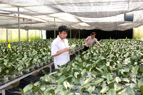 Cơ sở sản xuất được vay không quá 100 triệu đồng cho một lao động