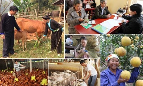 Tập trung các nguồn vốn cho tín dụng chính sách xã hội