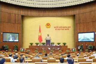 Quốc hội thảo luận về công tác phòng, chống tham nhũng năm 2020