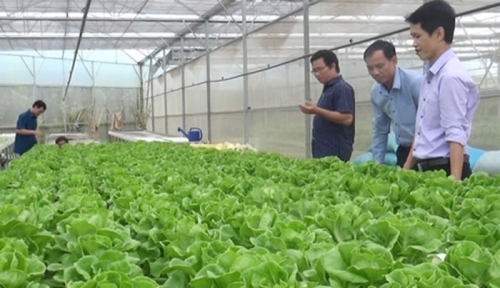 Hơn 17.000 khách hàng vay vốn sản xuất nông nghiệp sạch Hơn 17.000 khách hàng vay vốn sản xuất nông nghiệp sạch