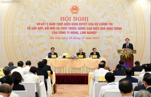 Thủ tướng giao Ủy ban Quản lý vốn Nhà nước đánh giá các tổng công ty lâm nghiệp