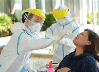 Không có ca mắc mới, Việt Nam điều trị khỏi cho 1.065 ca bệnh COVID-19