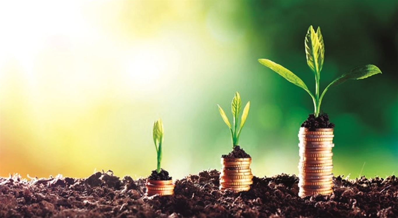 huong dan quan ly rui ro ve moi truong trong hoat dong cap tin dung