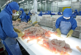 UOB nâng dự báo tăng trưởng GDP của Việt Nam lên 7%
