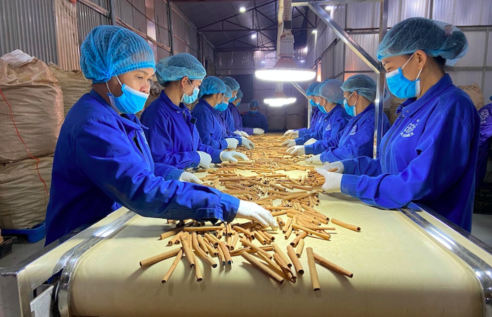 xanh hoa nen kinh te tu chinh sach den thuc tien bai 1