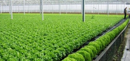 Thành lập Khu Công nghệ cao công nghệ sinh học Đồng Nai