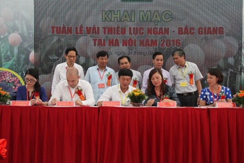 Khai mạc Tuần lễ Vải thiều Lục Ngạn - Bắc Giang năm 2016