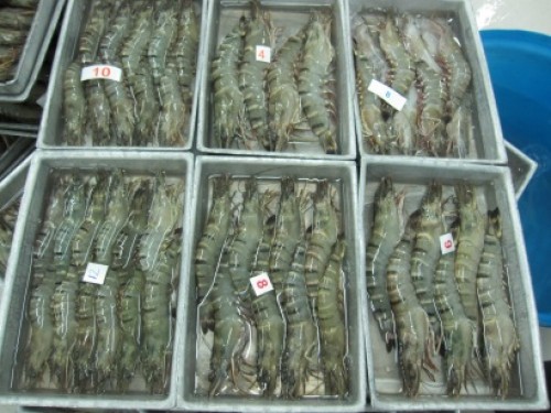 Việt Nam, Mỹ ký thoả thuận về thuế chống bán phá giá tôm