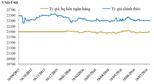 Tỷ giá tiếp tục ổn định nhờ thanh khoản ngoại tệ tốt