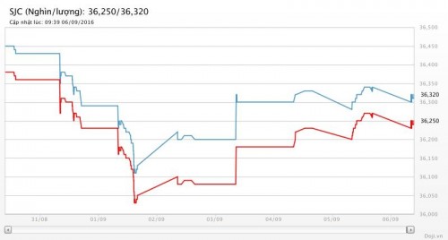 Giá vàng lình xình khi kỳ vọng Fed tăng lãi suất vào tháng 9 chưa tan