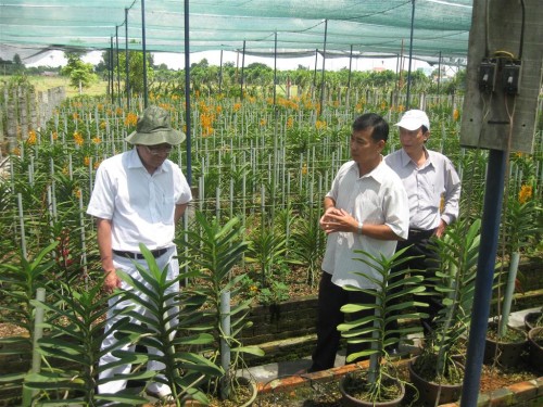 Đến năm 2020 khoảng 50% số xã trên cả nước đạt chuẩn NTM