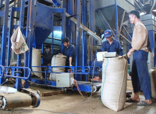 Gia Lai cần tập trung phát triển công nghiệp chế biến nông sản