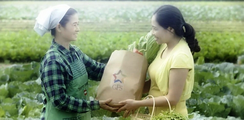 Tập đoàn GFS được vinh danh Top 20 “Nhãn hiệu hàng đầu Việt Nam năm 2017”