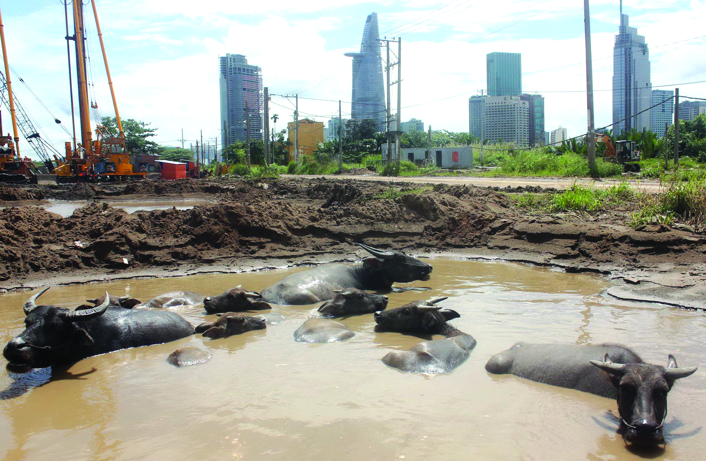 Sàng lọc dự án chậm triển khai Sàng lọc dự án chậm triển khai