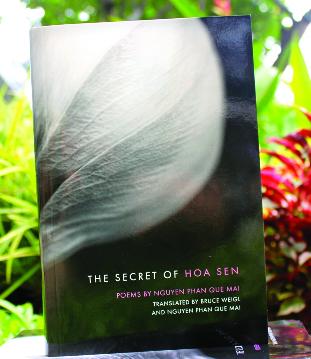 Gặp người viết “Tổ quốc gọi tên”