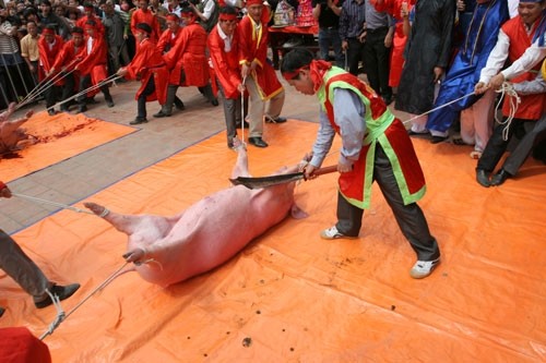 Khi cờ bạc núp bóng