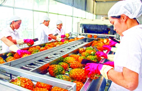 Xuất khẩu rau quả: Đảm bảo an toàn thực phẩm sẽ tốt nữa