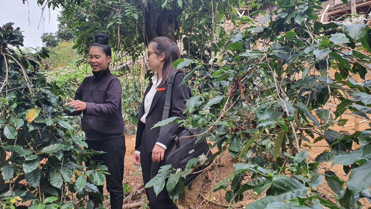 dau an nu doan vien nguoi lao dong agribank giai doan 2019 2022